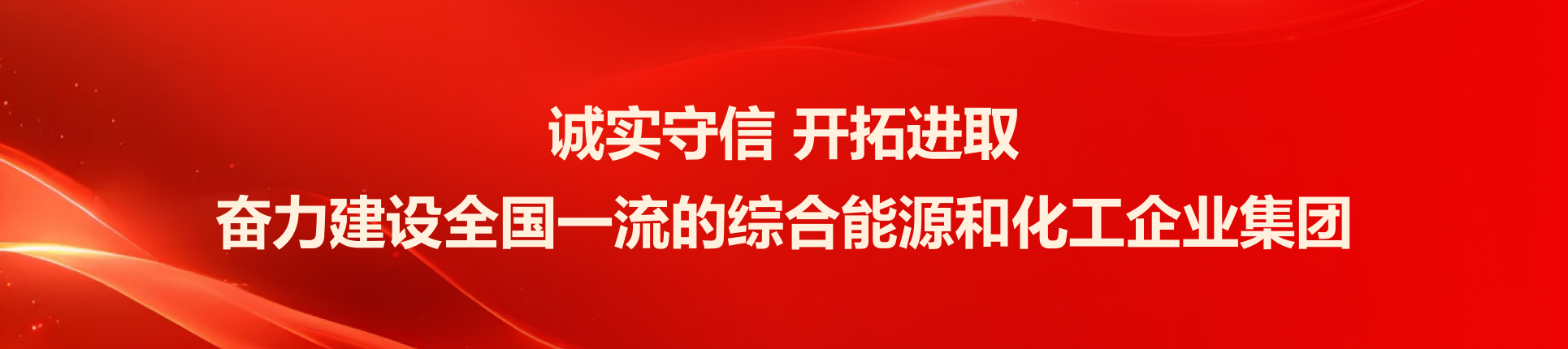 奋力建设全国一流的综合能源和化工企业集团